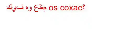 كيف هو عظم os coxae؟